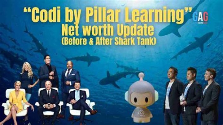 Codi Shark Tank Update: What Happened to the EdTech Innovator?