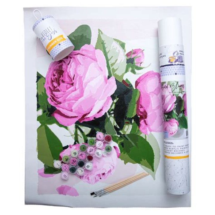 Discover the Artistic Magic of Pink Picasso Paint by Number
