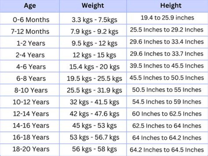Unveiling Erin Moriarty: Height, Weight, and More